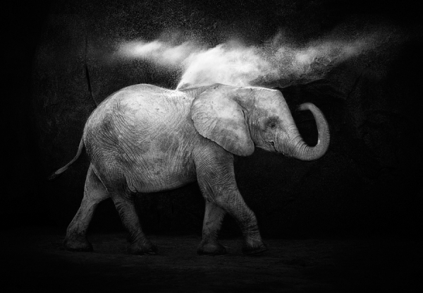 Photograph Juan Luis Duran Powder Shower on One Eyeland